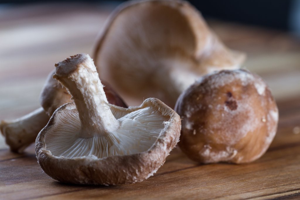 Beneficios Shiitake