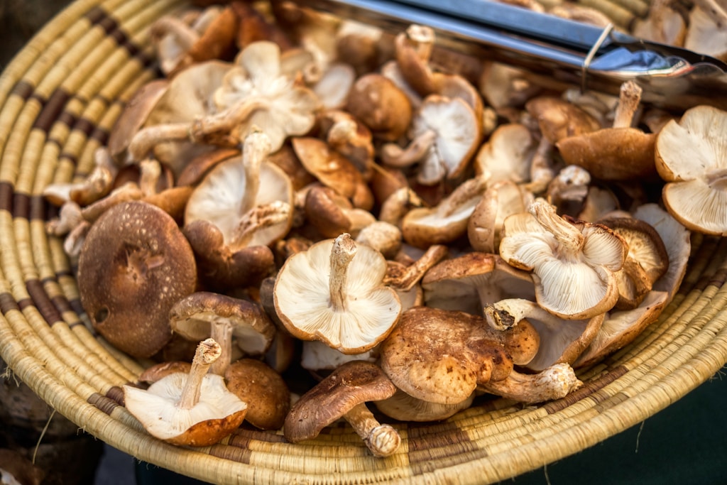 Umami y shiitake - el quinto sabor en la cocina